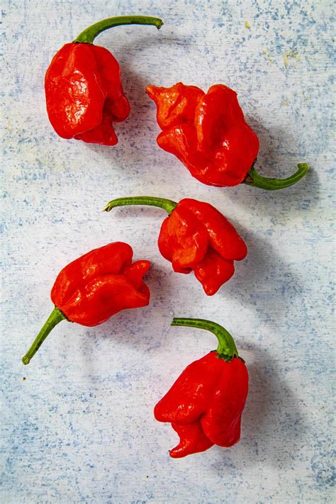 Scorpion peppers. Ghost peppers, which held the Guinness world record between 2007 and 2011, hit about 1,001,000 on the Scoville scale. But in early 2012, a new variety of scorpion pepper was accepted into the ... 