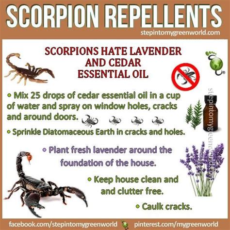 Scorpion repellent. Jan 25, 2024 · Boric Acid / Borax. Boric acid and Borax are common household substances known to be effective scorpion killers. These chemicals are effective because they act as a desiccant that dehydrates the scorpion's exoskeleton as well as impacts their nervous system if consumed. This method is not instantaneous, and the scorpion will remain capable of ... 
