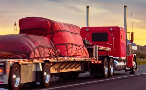 Scotlynn Transport, LLC Company Profile Fort Myers, FL