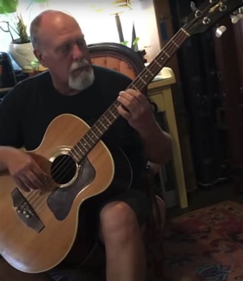 Scott king foxes and fossils