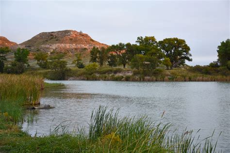 Hidden within the western Kansas prairie, Lake Scott State Park is a startling oasis of natural springs, deep wooded canyons, and craggy bluffs. A 100 acre spring fed lake created by a dam constructed in 1930 is nestled among the picturesque hills. . 