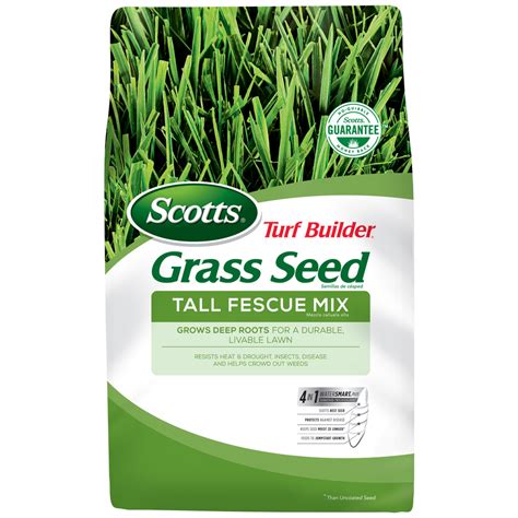 Turf Builder 2-Pack Tall Fescue Grass Seed. 280. Grass Seed: Tall fescue. Sun: Sun and shade (4-8 hours of daily sun) Climate: Transition zone. Multiple Options Available. Scotts. Turf Builder 2-Pack Bermuda Grass Seed. 213.