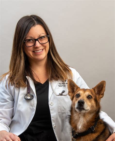 Scottsdale vet clinic. Things To Know About Scottsdale vet clinic. 