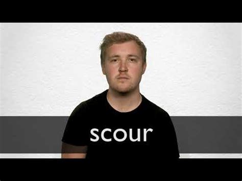 Scour the area definition and meaning - Collins Dictionary