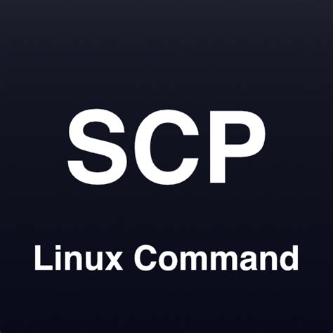 Scp 명령어 리눅스