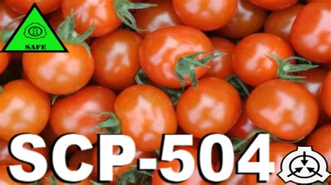 Scp 504