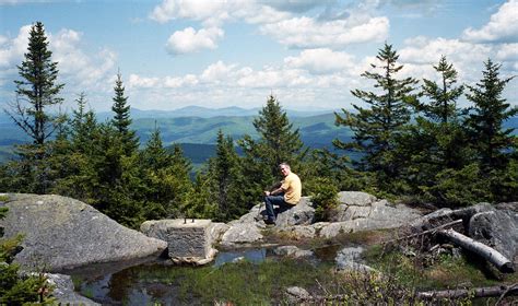 Scrag Mountain Forest - Birding Hotspots