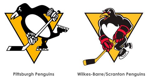 Scranton penguins. Things To Know About Scranton penguins. 