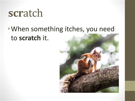 Scratch Where It Itches