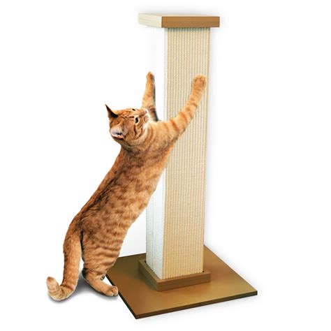 Scratching posts for cats petsmart. The EveryYay Scratchin' The Surface Cactus Cat Scratcher offers an intriguing surface your furry friend will totally dig. We know cats love to scratch. That's why we nailed it with this fun design they'll prefer over scribbling masterpieces on furniture. - Scratchin' The Surface Cactus Cat Scratcher from EveryYay- 3 jute scratching posts 