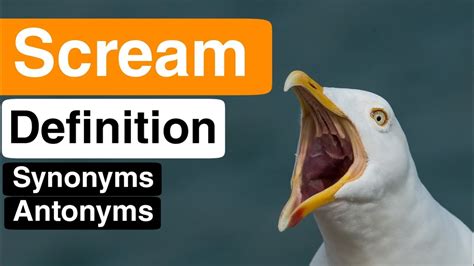 Scream antonyms. Things To Know About Scream antonyms. 