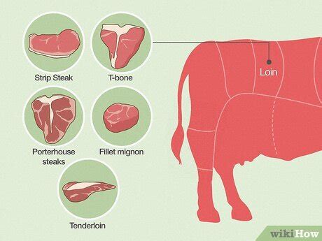 Screen name petite filet mignon.  Filet mignon is Two popular cuts of beef that often cause c...