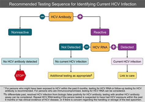 Screening and diagnosis - HCV Guidelines