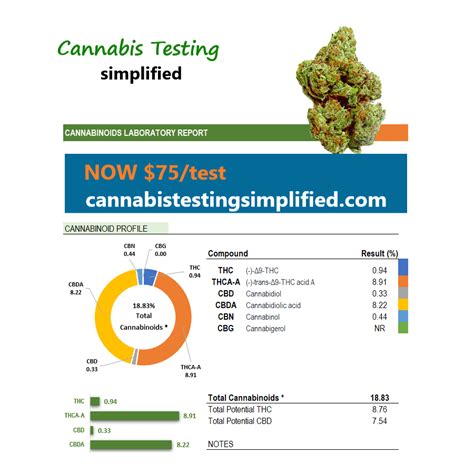 Screening for Cannabis Misuse