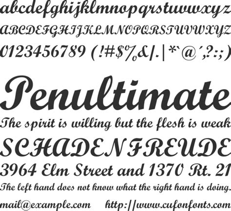 Script MT Font Download Free for Desktop & Webfont