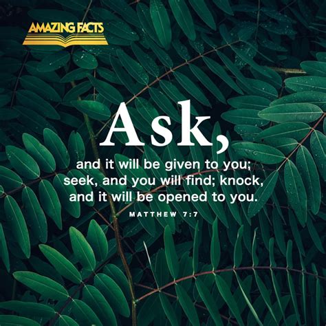 Scripture Pictures from the Book of Matthew Amazing Facts【2020】