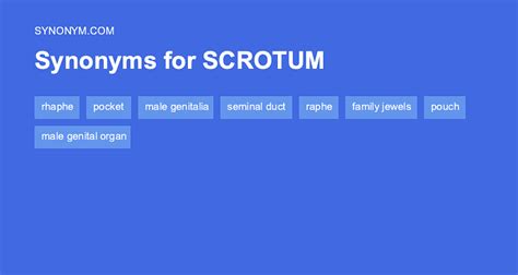 Scrotum Synonyms & Antonyms Synonyms.com