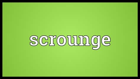 Scrounge - Definition, Meaning & Synonyms