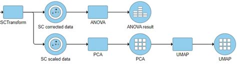 Sctransform documentation. per1k.  We now release an updated version (&lsquo;v2&rsquo;), bas...
