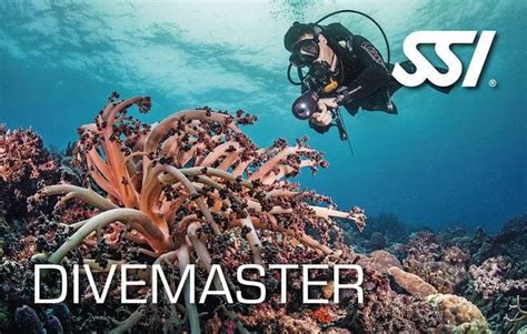 Scuba Diving Courses Diving Frontiers Balcatta, Perth, Western ...