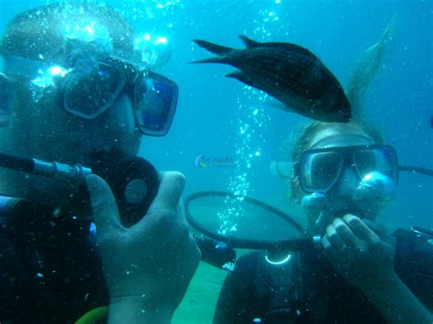 Scuba Diving in Fethiye - toursintr.com