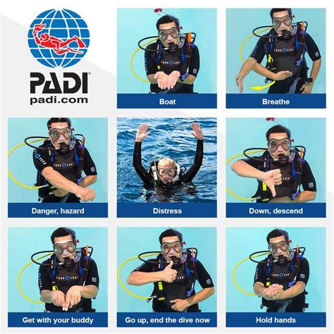 Scuba Hand Signals Chart PADI Sign Language Underwater.