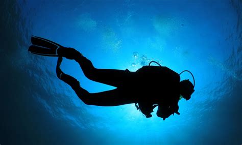 Scuba divers or snorkelers travel great distances for their underwater excursions. . Scukvascom