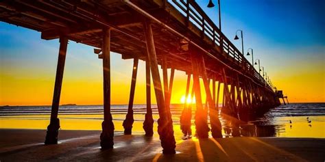 <span>👑</span>Onlyfans Free Videos