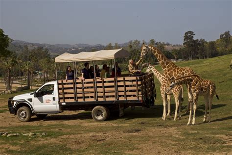 Sdzsafaripark hours. Operating daily from 10 a.m. to close. Take an airborne shortcut over the treetops to the other end of the Zoo, and enjoy spectacular views of the Zoo and surrounding Balboa Park. Guests may bring folded strollers on the Skyfari Aerial Tram, as long as they do not exceed 23 inches at their widest point. Team members will assess … 