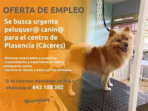 Se necesita urgente: Peluquero canino groomer - Marzo 2024