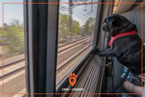 Se viaggi con il tuo animale - Trenitalia