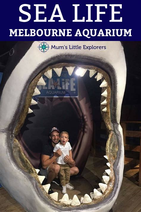 Sea Life Melbourne Aquarium – Underwater Adventure for Families