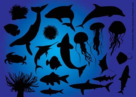 Sea Life Vector Art Icons And Graphics For Free Download