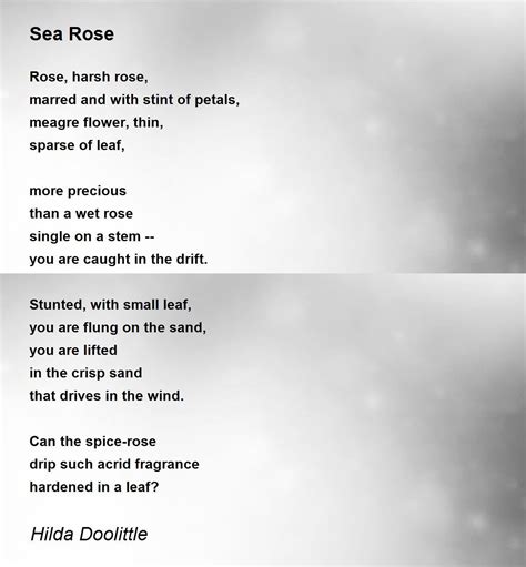 Sea Rose Poem Analysis - 1042 Words Bartleby