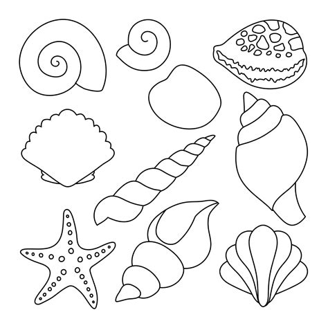 Sea Shell Coloring Page