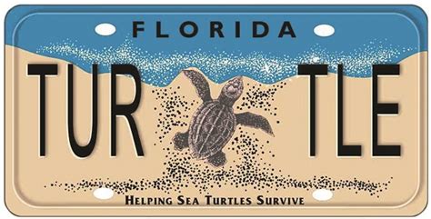 Sea Turtle Grant Program Awards $335,000 to ... - Helping Sea Turtles