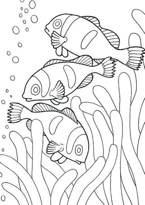 Sea animals to color free coloring worksheet, fish Coloring Page, FREE Coloring Page Temp