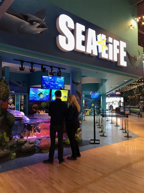 Sea life aquarium auburn hills. Sea Life Michigan Aquarium is located at Great Lakes Crossing, one of the largest outlet malls in Michigan. Parking is free and plentiful (it is a mall, after all). Admission costs a hefty $23.50; children 3-12 are $18.50. 