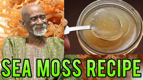 Dr. Sebi mentions that sea moss is the single healthiest food containing about 92 of 102 minerals found in nature. Sea moss together with herbal teas made from electric alkaline herbs are very alkalising to the body. Herbal teas such as dandelion root tea, burdock root tea, lavender tea, lemon balm tea, sarsaparilla tea, nettle leaf tea, red ....