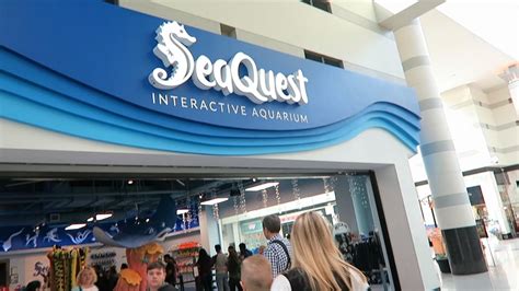Sea quest las vegas. About the operator. Don’t take it from us – here’s what people have to say about this operator: SeaQuest. 369. Las Vegas, United States. Joined in December 2016. PaigeTT. 0 contributions. 4.0 of 5 bubbles. 