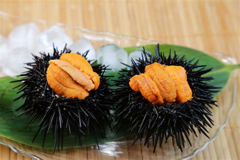 Sea urchin in japanese cuisine nyt crossword clue. Source / Clue; UNI: Sea urchin, in Japanese cuisine: KOMBU: Dried seaweed popular in Japanese cuisine: EEL: Fish used in Japanese cuisine: ARAME: Mild-flavored seaweed in Japanese cuisine: ROE: Tobiko, in Japanese cuisine: ENOKI: Mushroom in Japanese cuisine: RAWEGGS: Distinctive features of tamago gohan servings, in Japanese cuisine: YUZU 