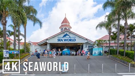 SeaWorld Gold Coast Full Complete WalkThrough Tour - YouTube