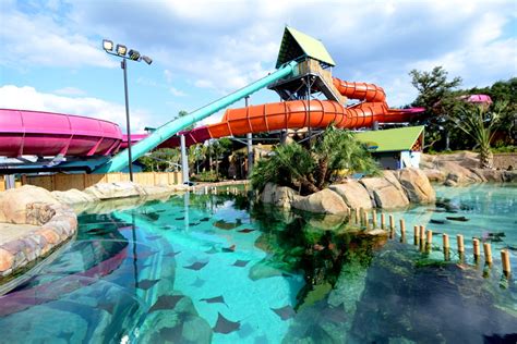 SeaWorld area swimming in new San Antonio restaurants