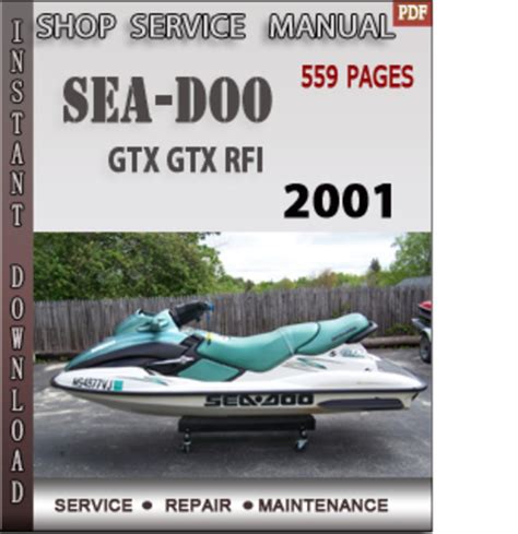 Seadoo gtx rfi 5555 2001 factory service repair manual. - Ramiro ledesma en la crisis de españa..
