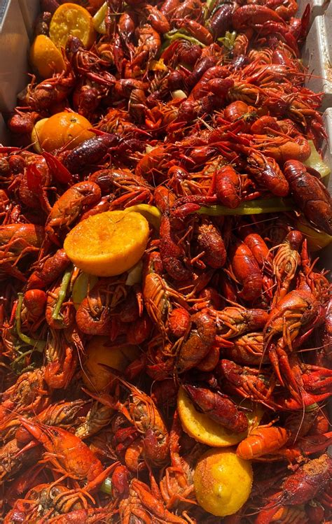 Seafood chattanooga. Midcoast Maine is known for lighthouses, lobster, blueberries, rugged coastlines, crisp breezes, craft brews, & creamy seafood chowders. Last Updated on March 23, 2023 Maine is par... 