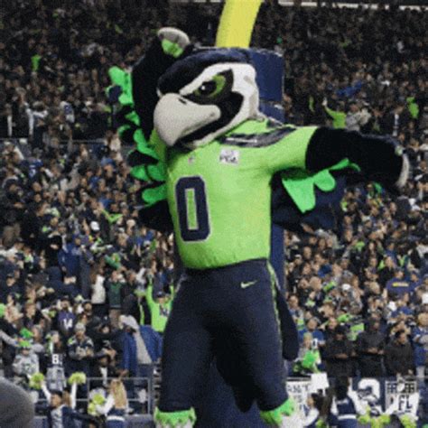 Seahawks gif. Sports Podcaster & Blogger | Gamer | #TwitchAffiliate Streamer | Massillon Tigers | #Seahawks | #LetEmKnow | #ForTheLand 