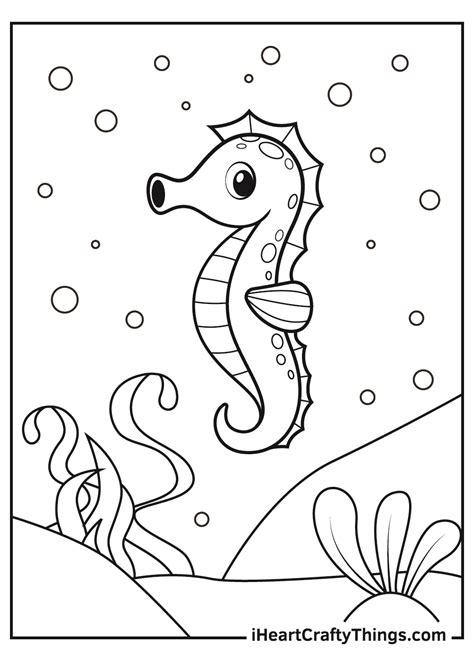 Seahorse Coloring Pages