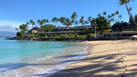 Seahouse maui. Sea House Restaurant, Lahaina, Hawaii. 7,826 likes · 1,339 talking about this · 41,203 were here. Open-air dining and fresh sea-to-table cuisine just steps … 