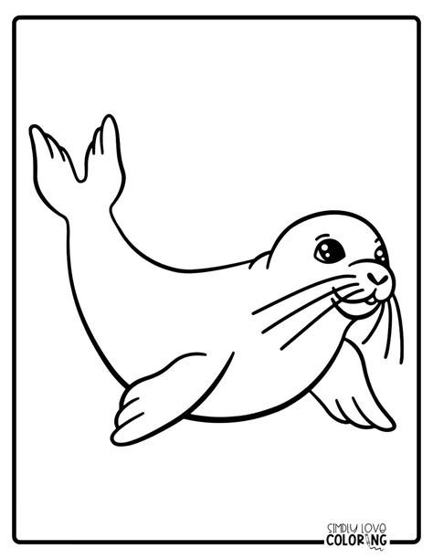 Seal Coloring