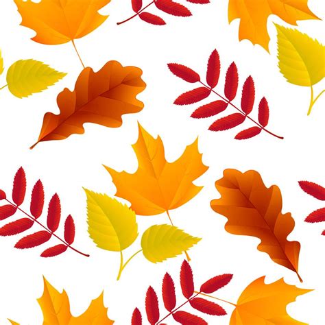 Seamless autumn leaves pattern 430076 Vector Art at Vecteezy